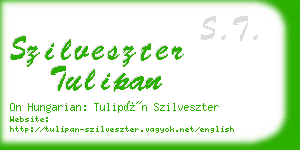 szilveszter tulipan business card